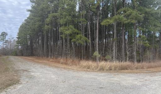 Photo #12 of 405 Batts Island Road, Edenton, NC 10.7 acres