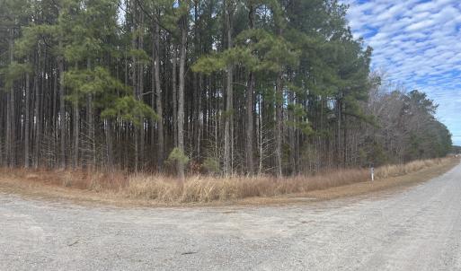 Photo #13 of 405 Batts Island Road, Edenton, NC 10.7 acres