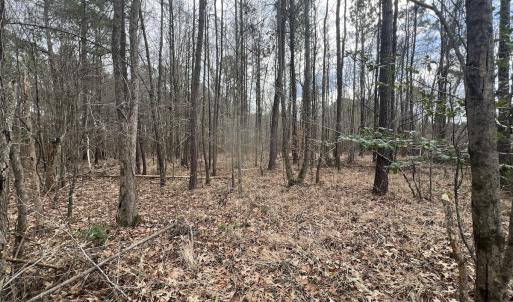 Photo #14 of 405 Batts Island Road, Edenton, NC 10.7 acres