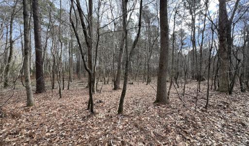 Photo #15 of 405 Batts Island Road, Edenton, NC 10.7 acres