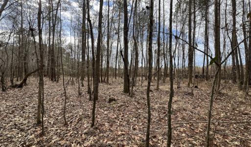 Photo #16 of 405 Batts Island Road, Edenton, NC 10.7 acres