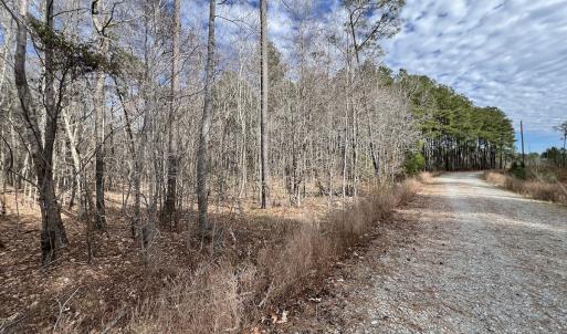 Photo #17 of 405 Batts Island Road, Edenton, NC 10.7 acres