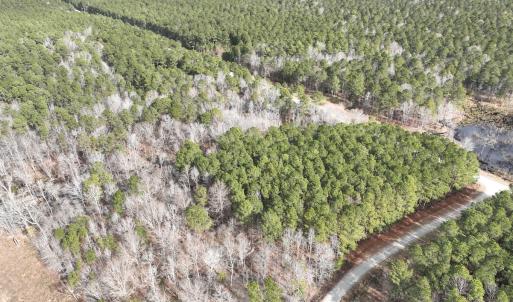 Photo #3 of 405 Batts Island Road, Edenton, NC 10.7 acres