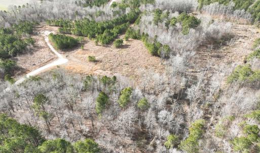 Photo #4 of 405 Batts Island Road, Edenton, NC 10.7 acres