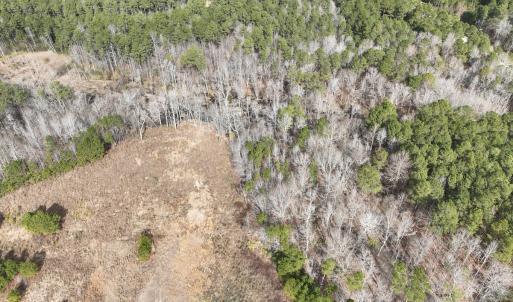 Photo #6 of 405 Batts Island Road, Edenton, NC 10.7 acres