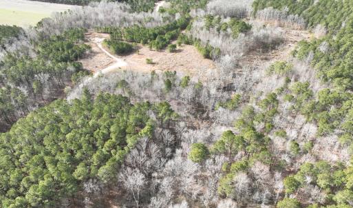 Photo #7 of 405 Batts Island Road, Edenton, NC 10.7 acres