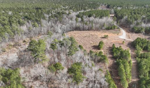 Photo #8 of 405 Batts Island Road, Edenton, NC 10.7 acres