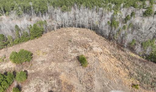 Photo #9 of 405 Batts Island Road, Edenton, NC 10.7 acres