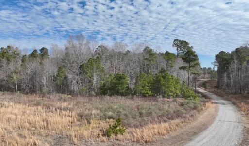 Photo #18 of 405 Batts Island Road, Edenton, NC 10.7 acres