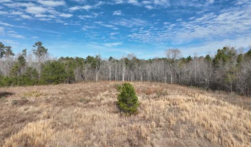 Photo #19 of 405 Batts Island Road, Edenton, NC 10.7 acres