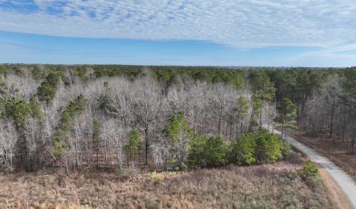 Photo #20 of 405 Batts Island Road, Edenton, NC 10.7 acres