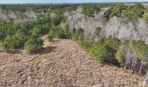 Photo #22 of 405 Batts Island Road, Edenton, NC 10.7 acres