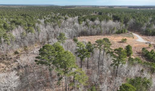 Photo #23 of 405 Batts Island Road, Edenton, NC 10.7 acres