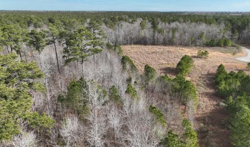 Photo #24 of 405 Batts Island Road, Edenton, NC 10.7 acres