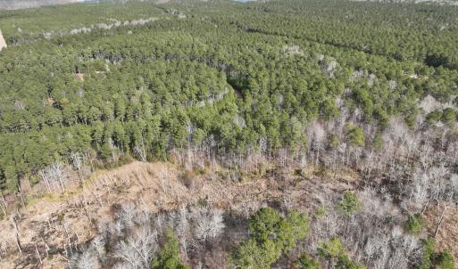 Photo #27 of 405 Batts Island Road, Edenton, NC 10.7 acres