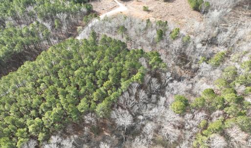 Photo #31 of 405 Batts Island Road, Edenton, NC 10.7 acres