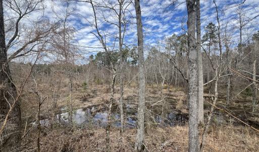 Photo #40 of 405 Batts Island Road, Edenton, NC 10.7 acres