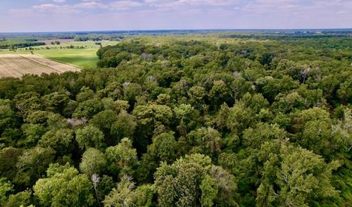 Photo #12 of SOLD property in Off NC 11 S, Ayden, NC 15.0 acres