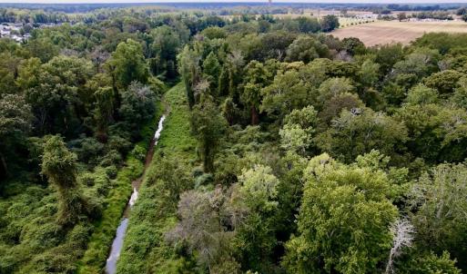 Photo #15 of SOLD property in Off NC 11 S, Ayden, NC 15.0 acres
