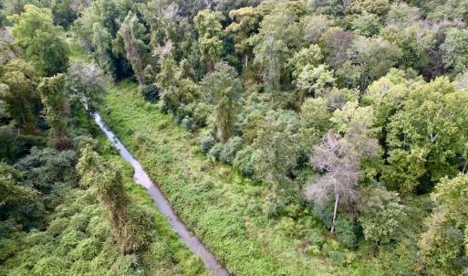 Photo #16 of SOLD property in Off NC 11 S, Ayden, NC 15.0 acres