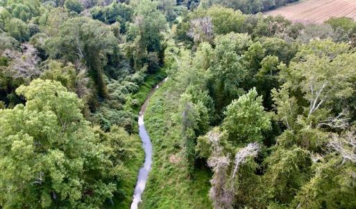 Photo #17 of SOLD property in Off NC 11 S, Ayden, NC 15.0 acres