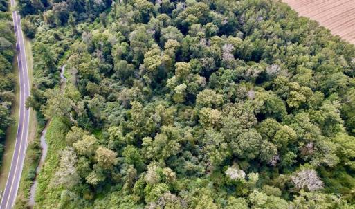 Photo #21 of SOLD property in Off NC 11 S, Ayden, NC 15.0 acres