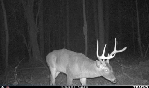 Photo #29 of Off Western Mill Rd, Lawrenceville, VA 40.0 acres