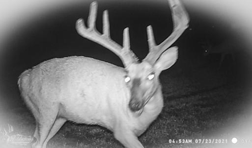 Photo #30 of Off Western Mill Rd, Lawrenceville, VA 40.0 acres