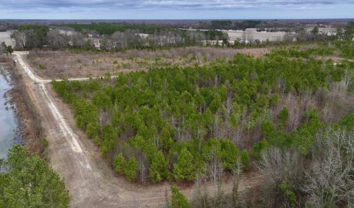 Photo #11 of SOLD property in Off Highway 55, Dover, NC 47.2 acres