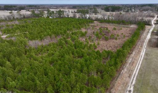Photo #13 of SOLD property in Off Highway 55, Dover, NC 47.2 acres