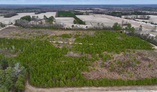 Photo #14 of SOLD property in Off Highway 55, Dover, NC 47.2 acres