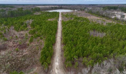 Photo #15 of SOLD property in Off Highway 55, Dover, NC 47.2 acres