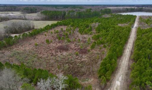 Photo #16 of SOLD property in Off Highway 55, Dover, NC 47.2 acres