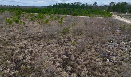 Photo #18 of SOLD property in Off Highway 55, Dover, NC 47.2 acres