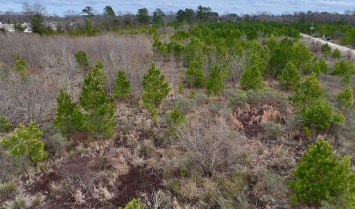 Photo #19 of SOLD property in Off Highway 55, Dover, NC 47.2 acres