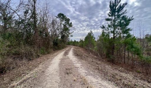 Photo #20 of SOLD property in Off Highway 55, Dover, NC 47.2 acres