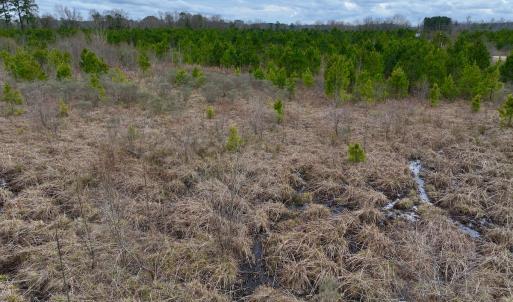 Photo #4 of SOLD property in Off Highway 55, Dover, NC 47.2 acres