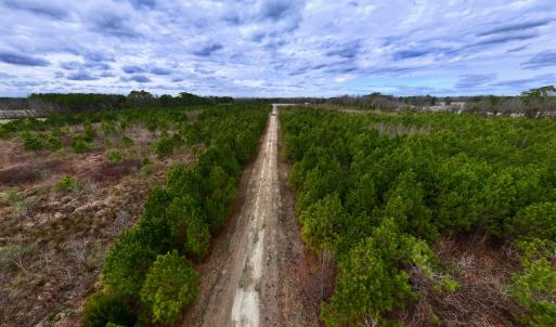 Photo #5 of SOLD property in Off Highway 55, Dover, NC 47.2 acres
