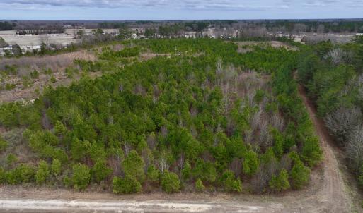 Photo #8 of SOLD property in Off Highway 55, Dover, NC 47.2 acres