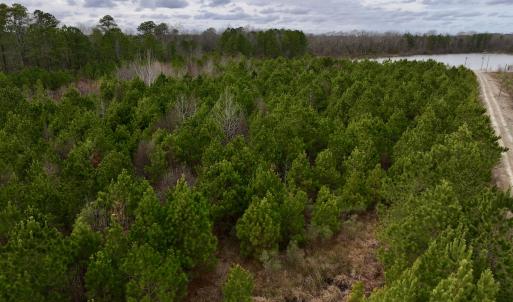 Photo #9 of SOLD property in Off Highway 55, Dover, NC 47.2 acres