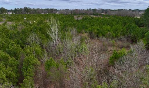 Photo #10 of SOLD property in Off Highway 55, Dover, NC 47.2 acres