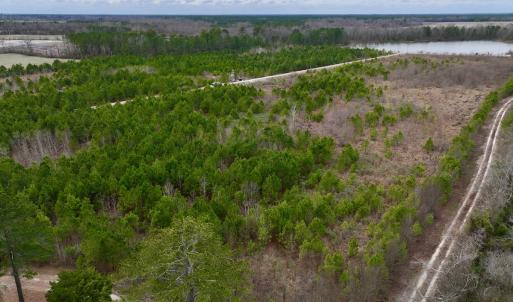 Photo #23 of SOLD property in Off Highway 55, Dover, NC 47.2 acres