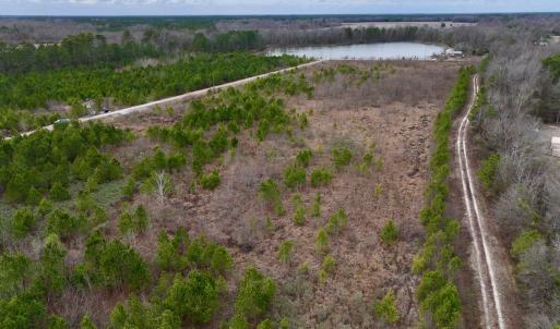 Photo #24 of SOLD property in Off Highway 55, Dover, NC 47.2 acres