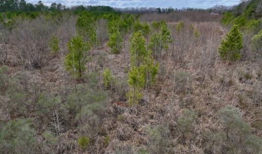 Photo #25 of SOLD property in Off Highway 55, Dover, NC 47.2 acres