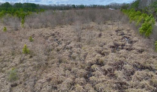 Photo #26 of SOLD property in Off Highway 55, Dover, NC 47.2 acres