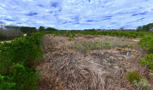 Photo #27 of SOLD property in Off Highway 55, Dover, NC 47.2 acres