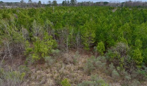 Photo #28 of SOLD property in Off Highway 55, Dover, NC 47.2 acres