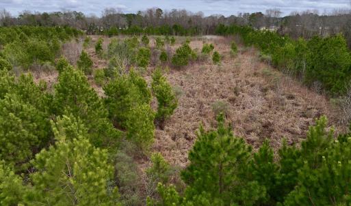 Photo #29 of SOLD property in Off Highway 55, Dover, NC 47.2 acres