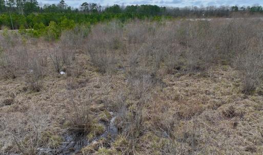 Photo #30 of SOLD property in Off Highway 55, Dover, NC 47.2 acres