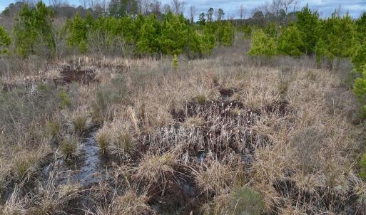 Photo #31 of SOLD property in Off Highway 55, Dover, NC 47.2 acres